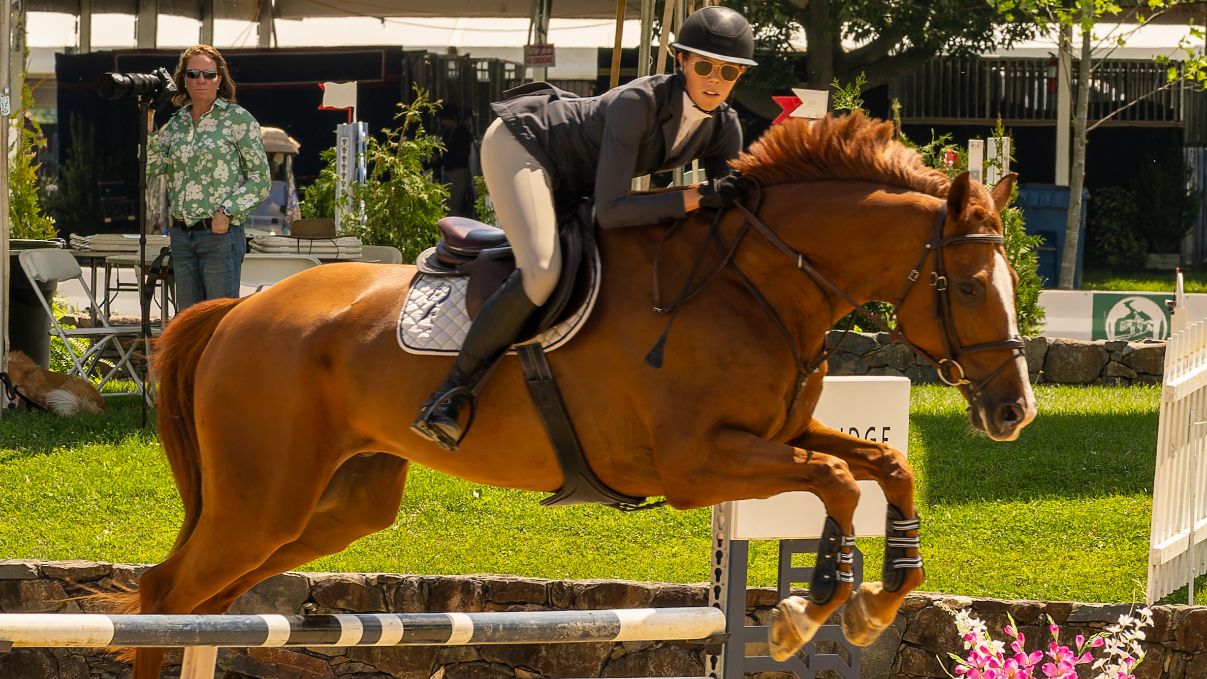 Upcoming Horse Shows